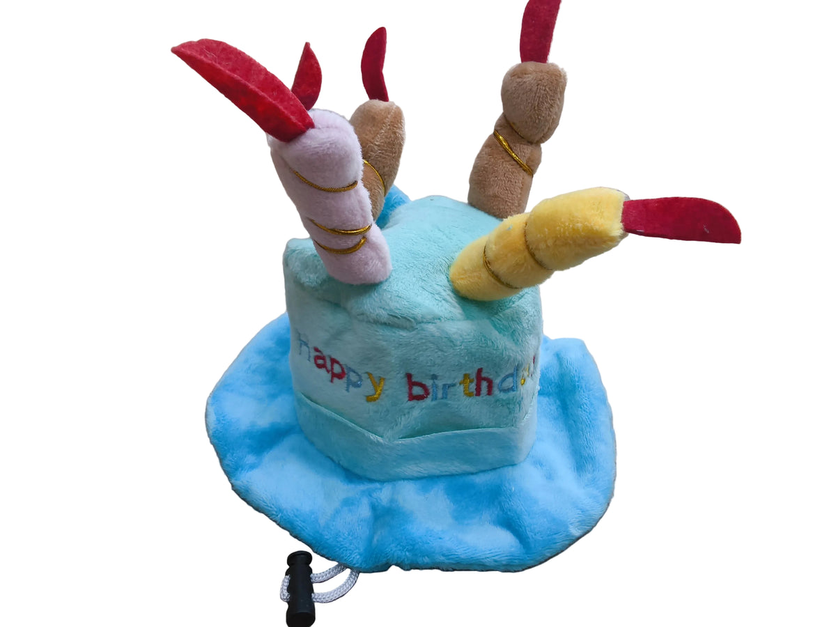 Happy Birthday Cake Hat