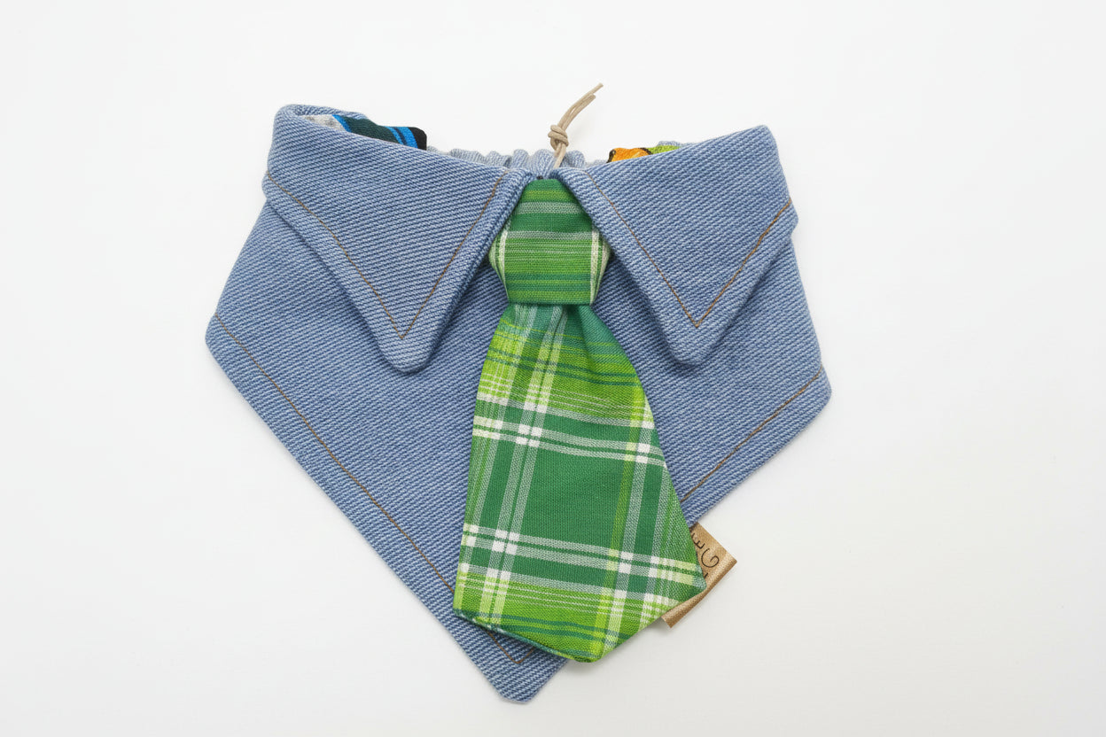 PAWGPC27 Green Plaid/ Comic  27CM