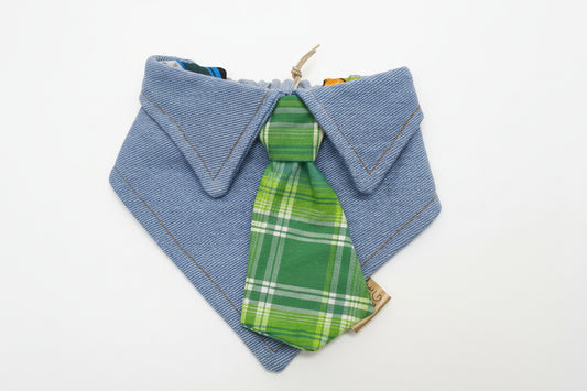 PAWGPC27 Green Plaid/ Comic  27CM