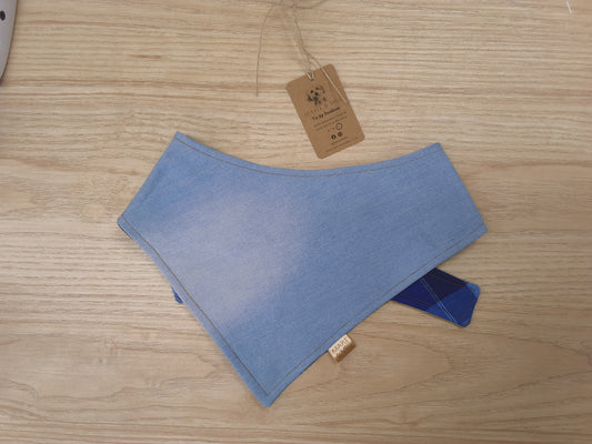 BPLGE (BLUE PLAID) - LARGE