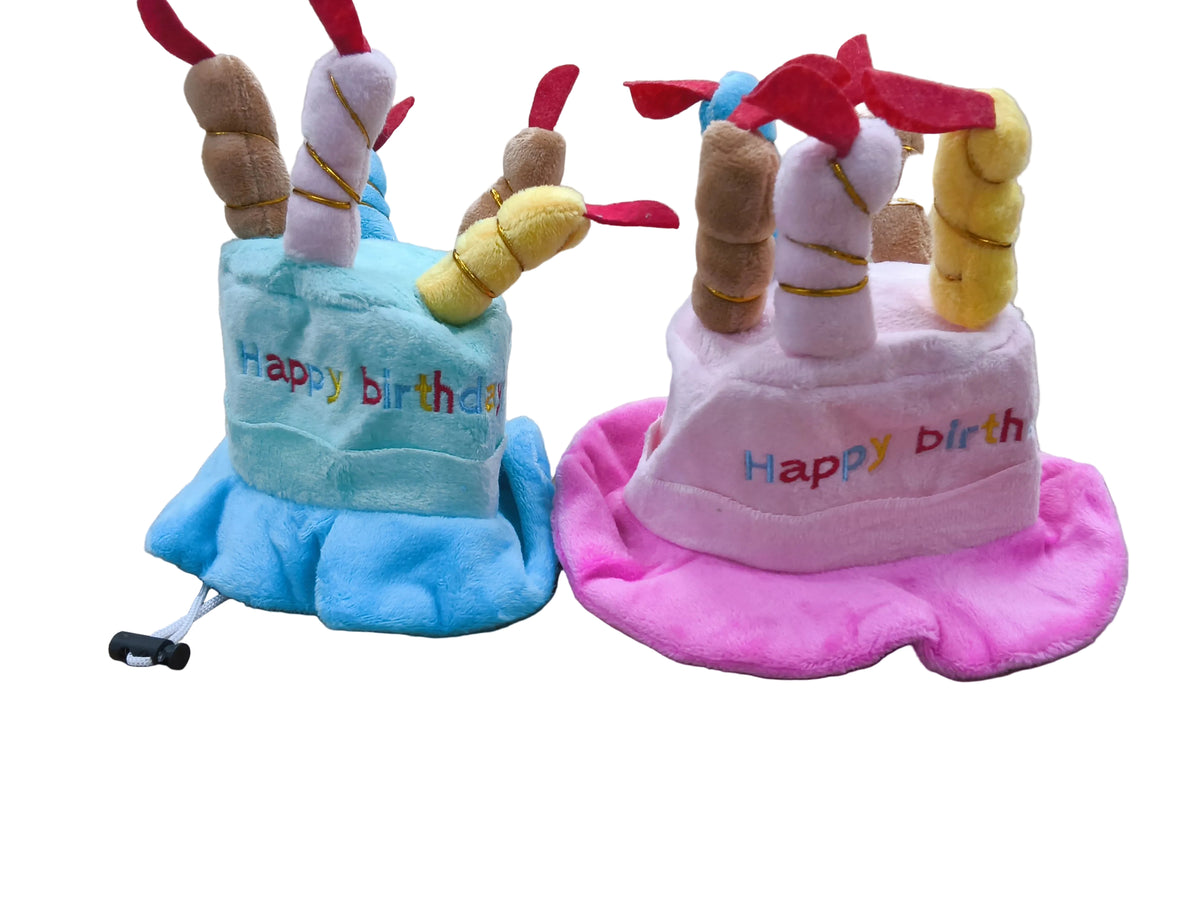 Happy Birthday Cake Hat