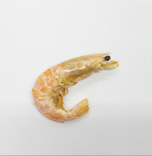 Dehydrated Prawns