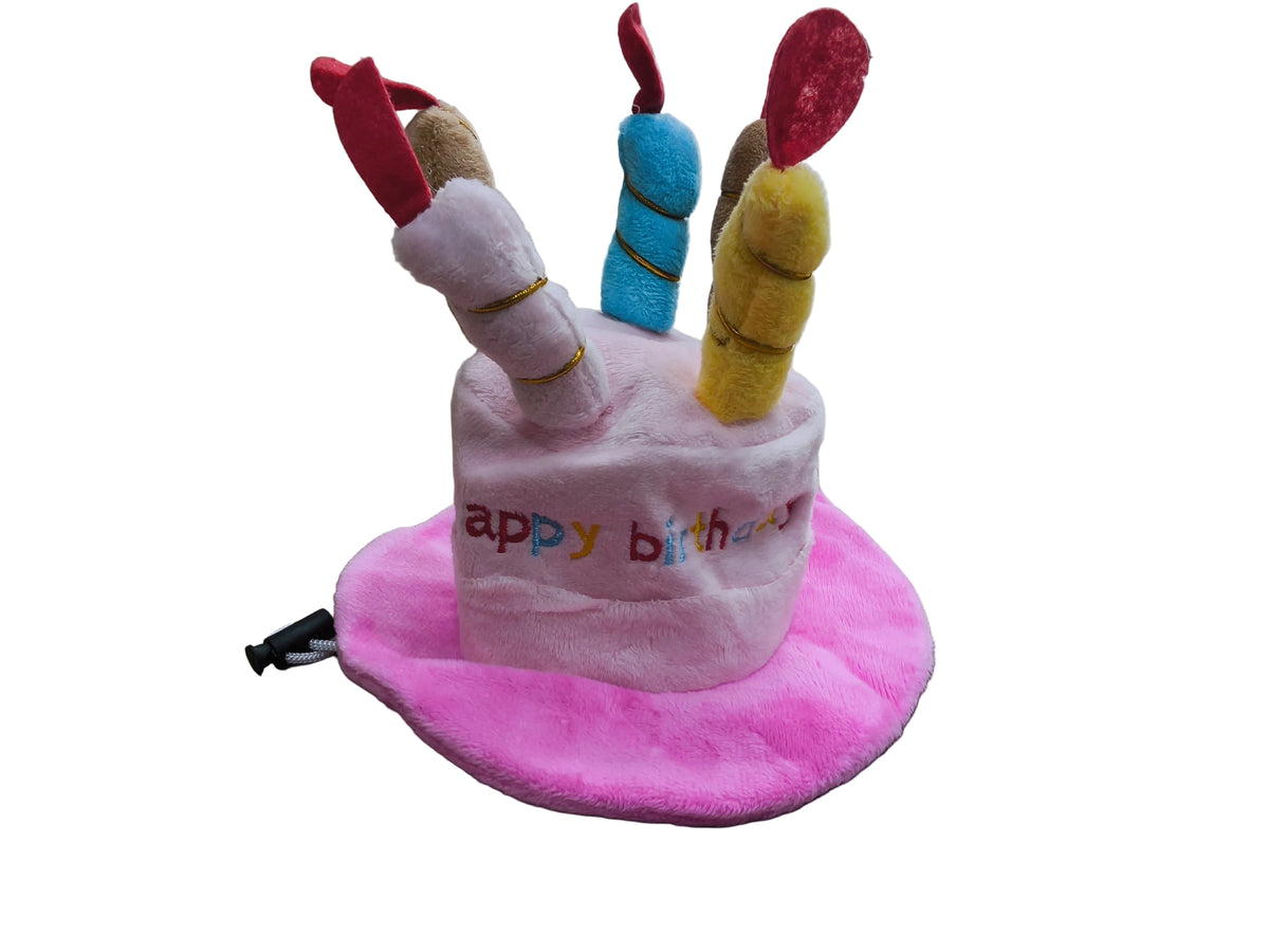 Happy Birthday Cake Hat
